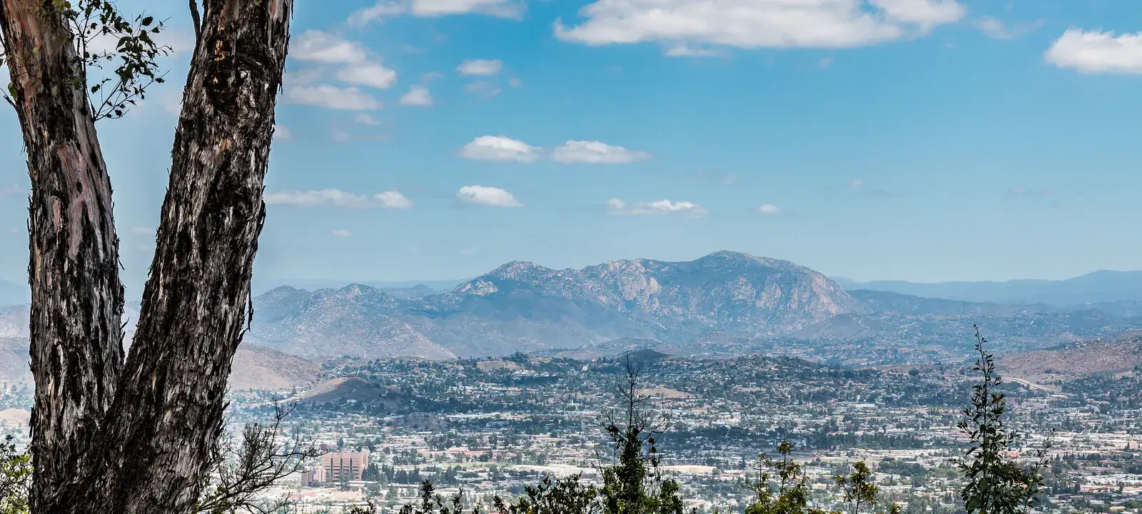 La Mesa Property Management